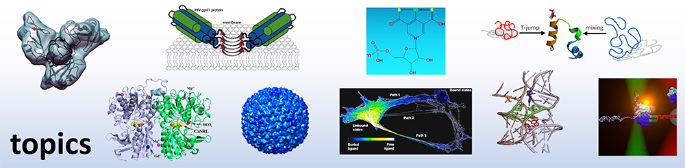 md phd biophysics